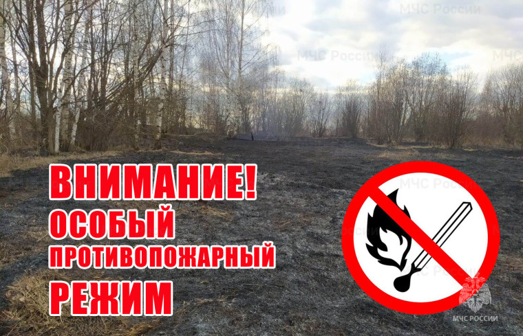 С 27 апреля 2024 года на территории Алтайского края введен особый противопожарный режим..