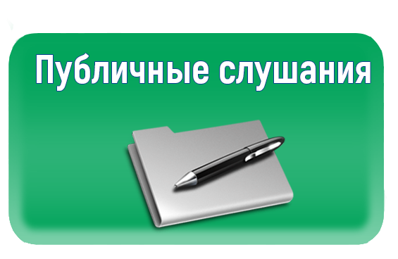 Проведение публичных слушаний.