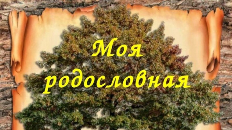 В рамках празднования 100-летнего юбилея Алейского района проведён конкурс «Моя родословная» для учащихся 1-11 классов..