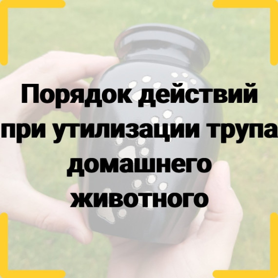 За период 2022-2024 гг. на территории Алтайского края зарегистрированы 32 неблагополучных пунктов по бешенству животных, в текущем году зарегистрирован 1 неблагополучный пункт по бешенству среди домашних животных (собаки) на территории Алейского района.