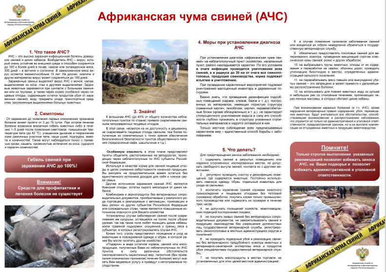 Внимание! Африканская чума свиней..