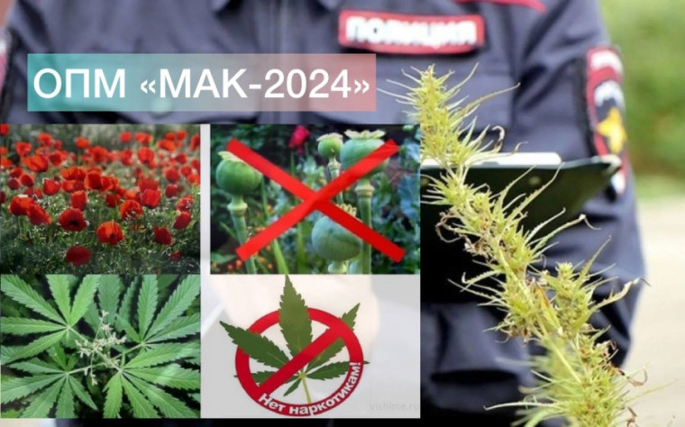 На территории обслуживания МО МВД России «Алейский» в период с 15 по 24 июля 2024 года проводится первый этап межведомственной комплексной оперативно–профилактической операции «Мак-2024»..